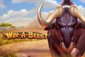 Win A Beest